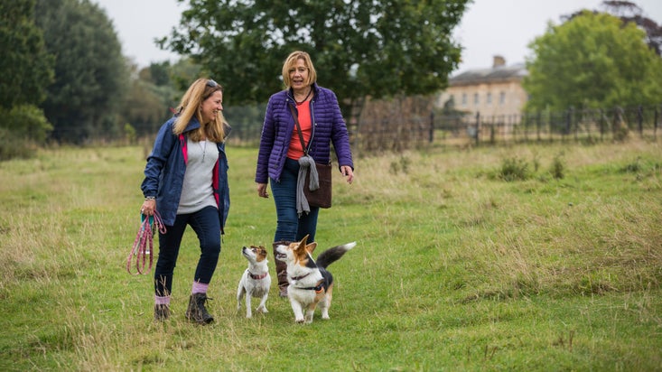 Visitors walking with their dogs in the grounds at Basildon Park, Berkshire